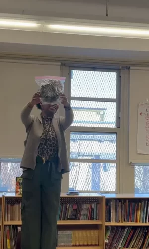 Egg Drop Experiment (Science 803-703-603) (10) Egg Drop Experiment (Science 803-703-603) (10)