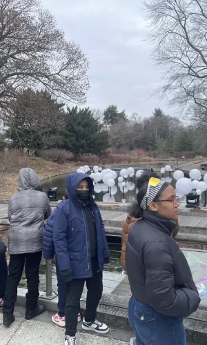 NYBotabical Garden (3) NYBotabical Garden (3)