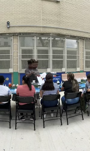 STH Aromatherapy (11) STH Aromatherapy (11)