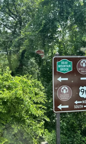 Senior Trip (9) Senior Trip (9)